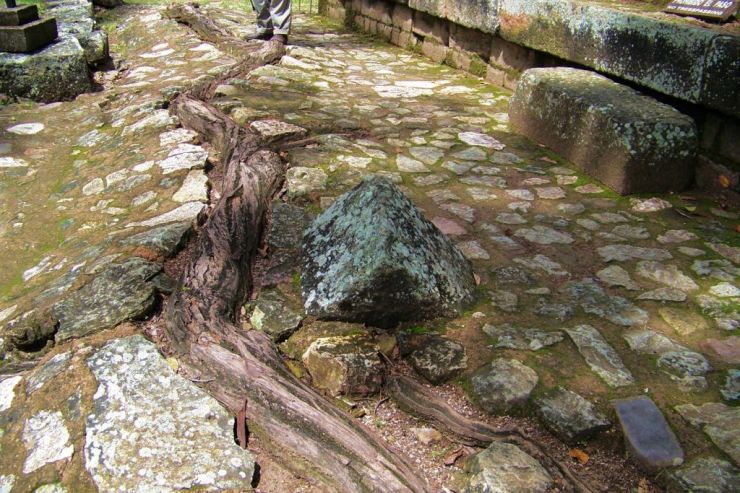 Ruinas de Copan (76)