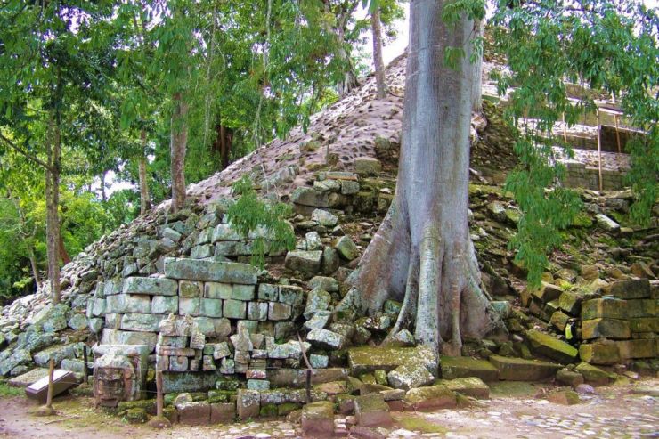 Ruinas de Copan (84)