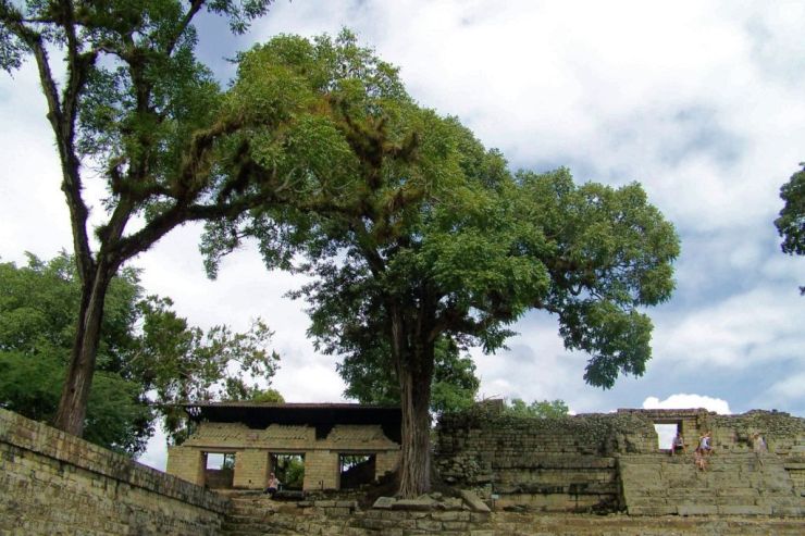 Ruinas de Copan (85)