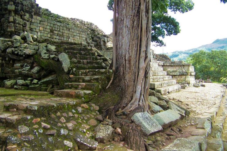 Ruinas de Copan (88)