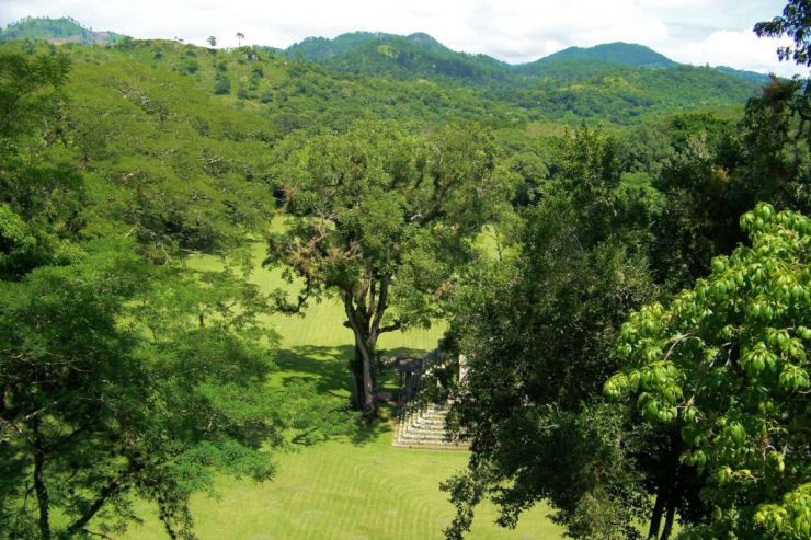 Ruinas de Copan (95)