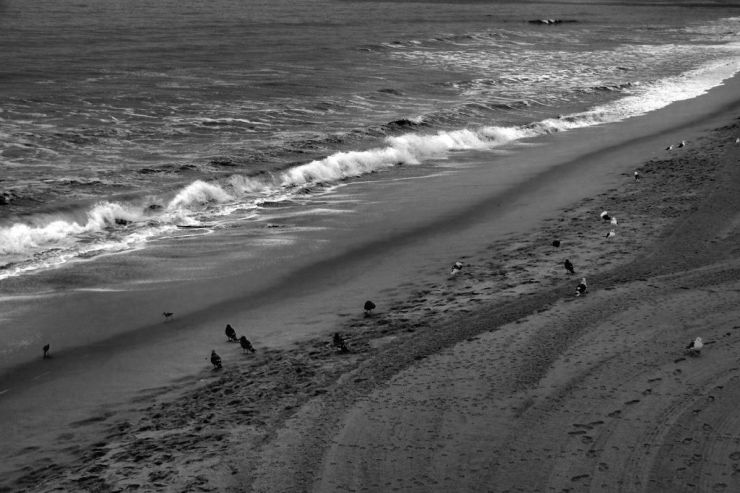 Santa Monica Beach (10)