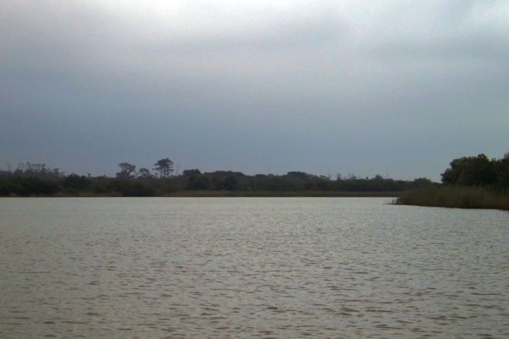 St.-Lucia estuarium 06