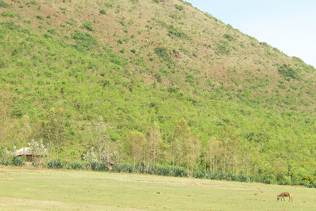 Tanzania divers (10)