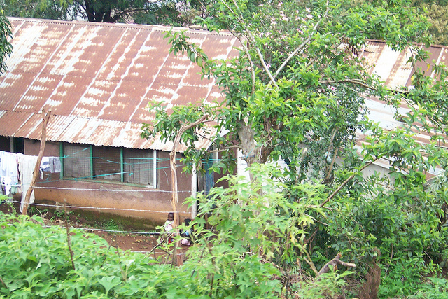 Tanzania divers (15)