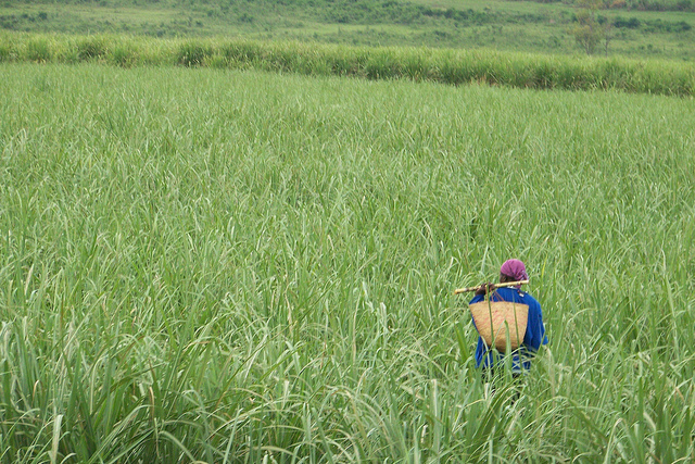 Tanzania divers (17)