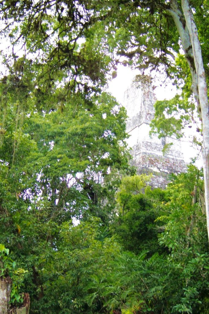 Tikal (19)