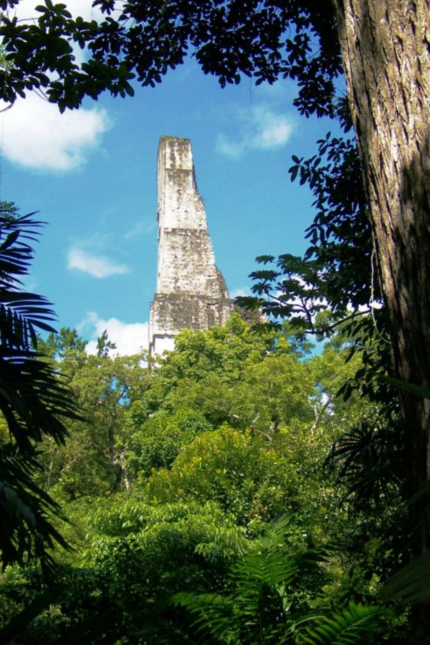 Tikal (58)