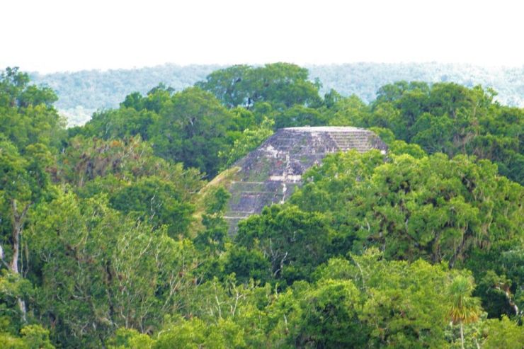 Tikal (67)