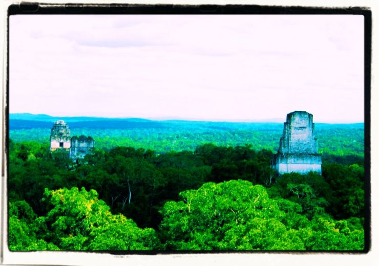 Tikal (69)