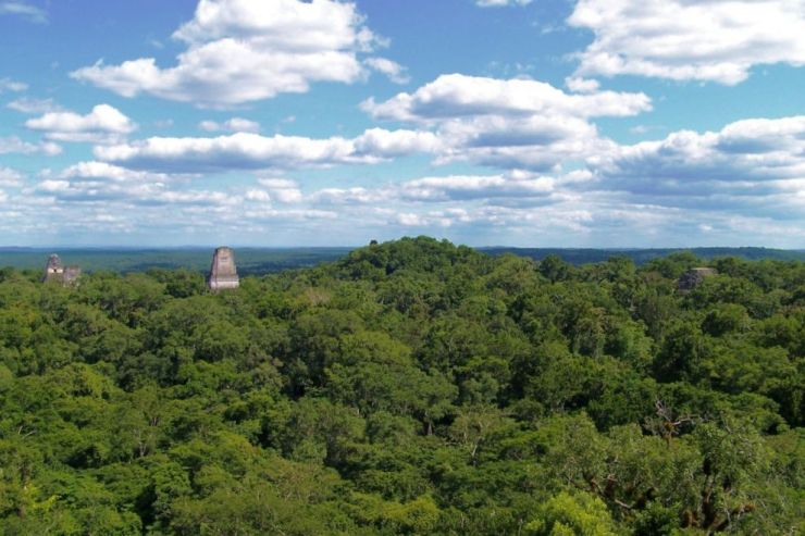 Tikal (70)