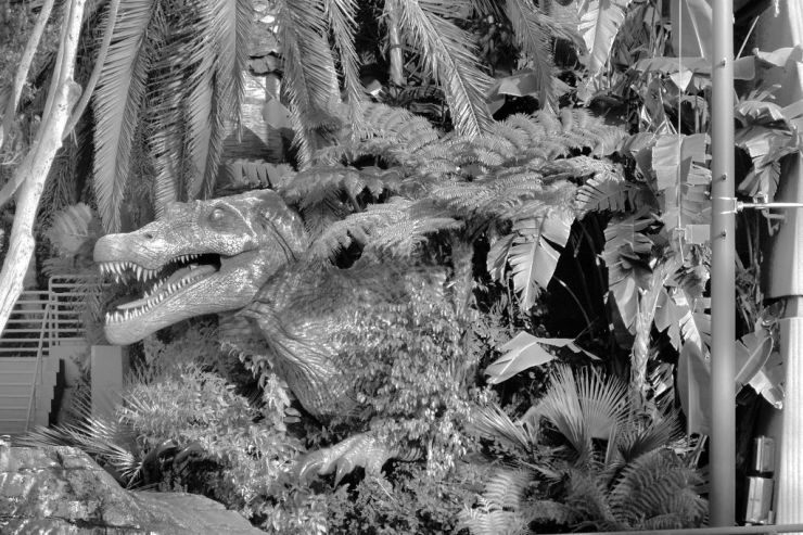 Universal Studios (16)