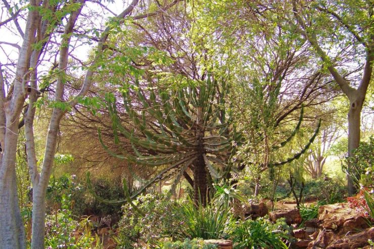 Voortrekkermonument 17 (tuin)