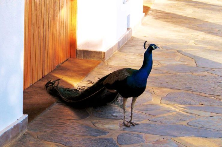 White River 07 (hotel) - kopie