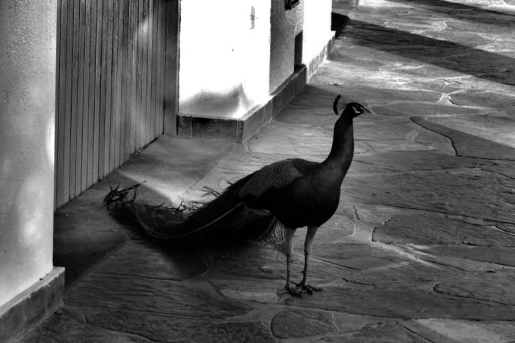 White River 07 (hotel)