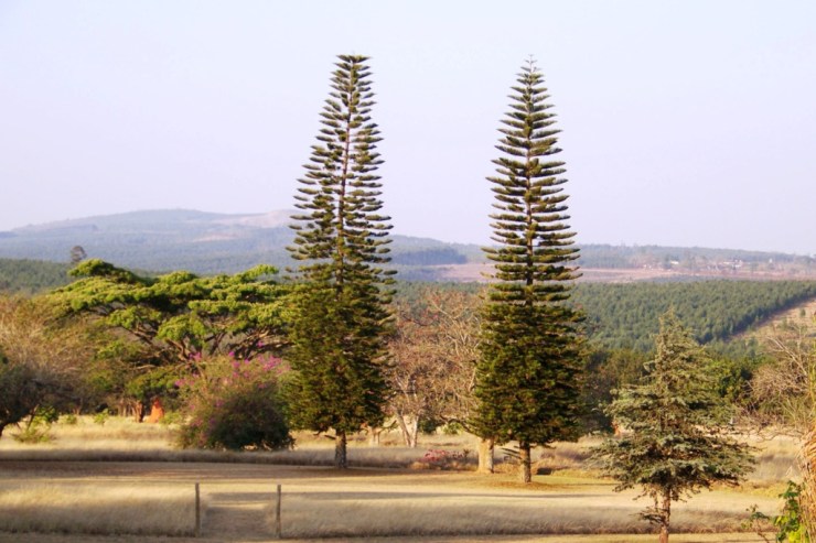 White River 08 (hotel)