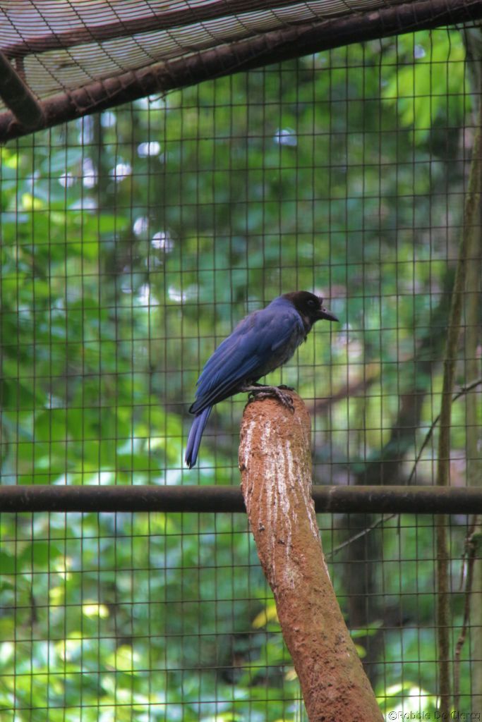 IMG_3745