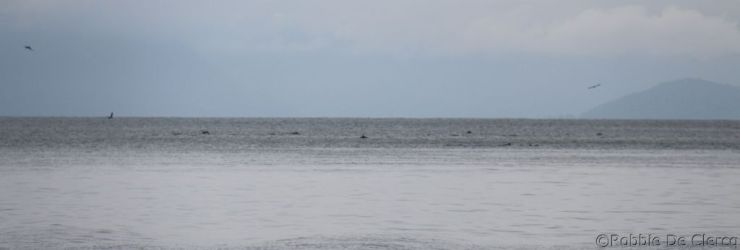 IMG_4704