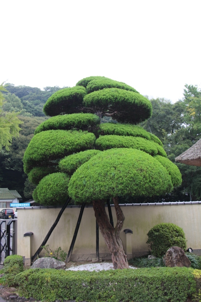 kannawa-umi-jigoku-1