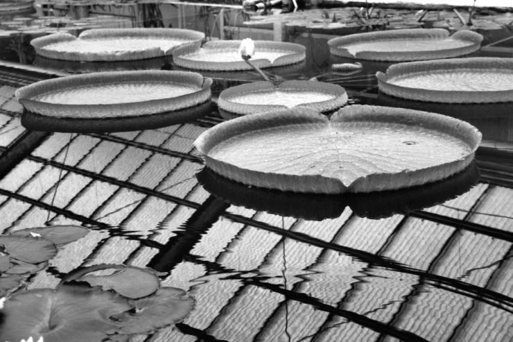 kannawa-umi-jigoku-16