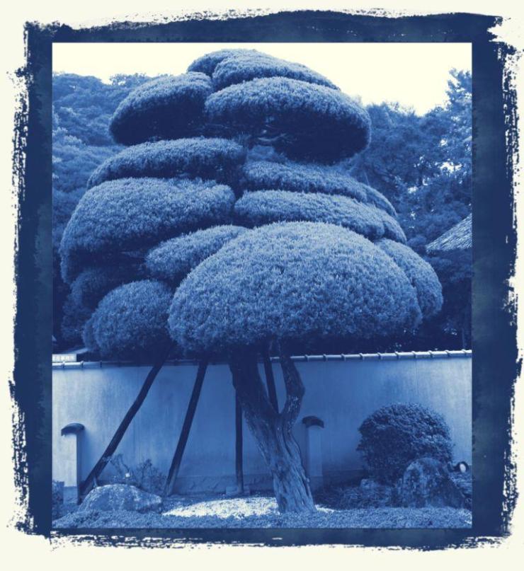 kannawa-umi-jigoku-2