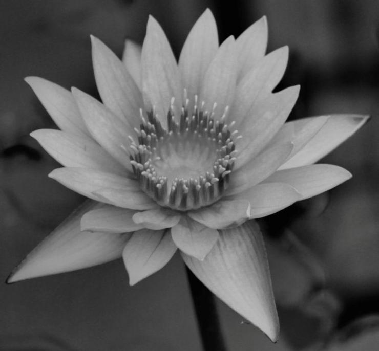 kannawa-umi-jigoku-22