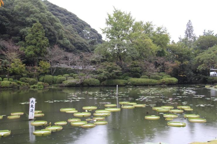 kannawa-umi-jigoku-23