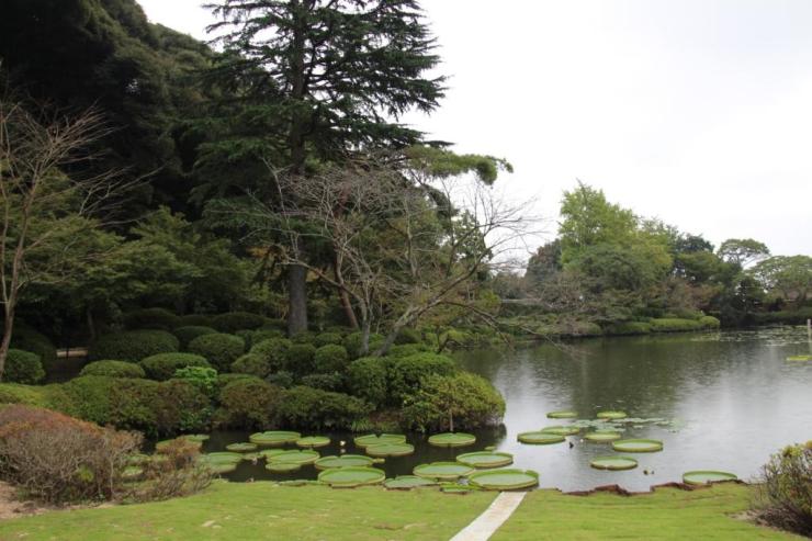 kannawa-umi-jigoku-28