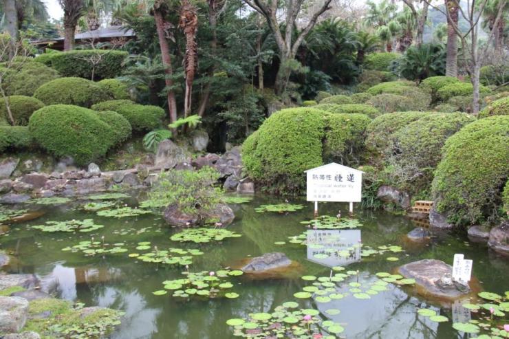 kannawa-umi-jigoku-3