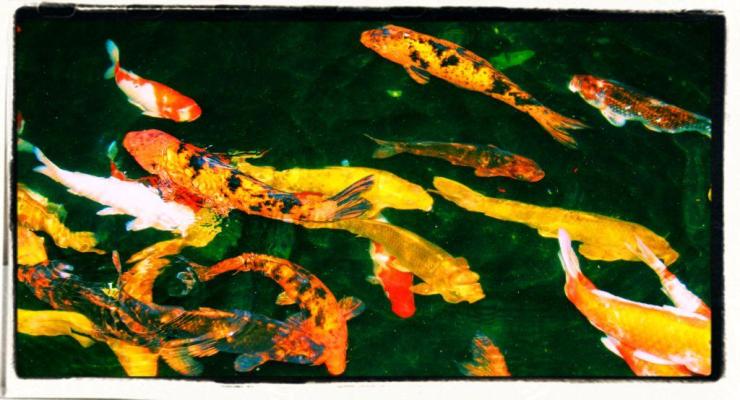 kannawa-umi-jigoku-36