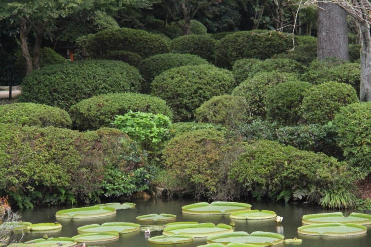 kannawa-umi-jigoku-38