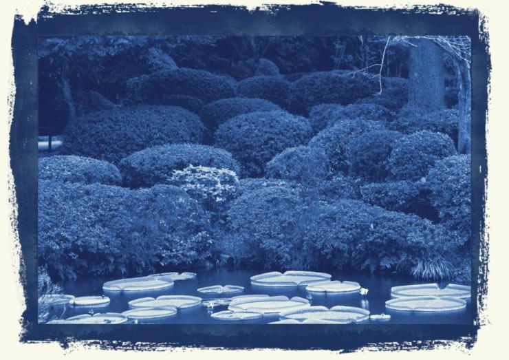 kannawa-umi-jigoku-39