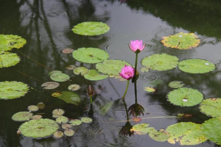 kannawa-umi-jigoku-4