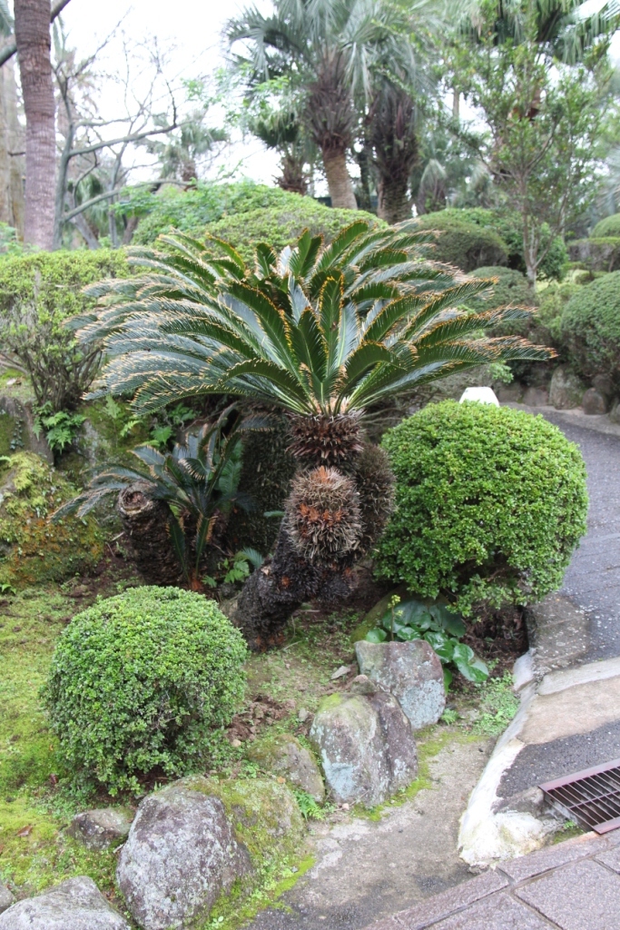 kannawa-umi-jigoku-43