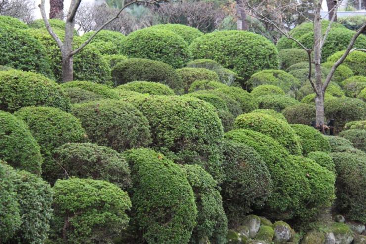 kannawa-umi-jigoku-6