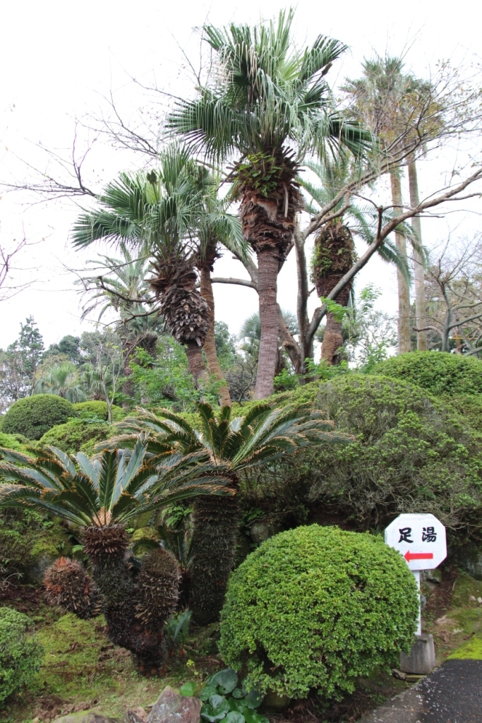 kannawa-umi-jigoku-9