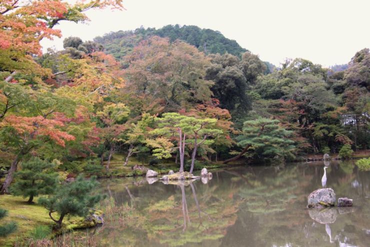 kinkaku-ji-temple-19