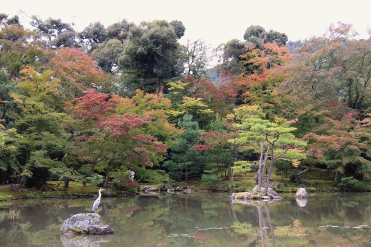kinkaku-ji-temple-22