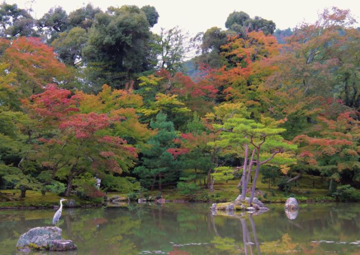 kinkaku-ji-temple-23