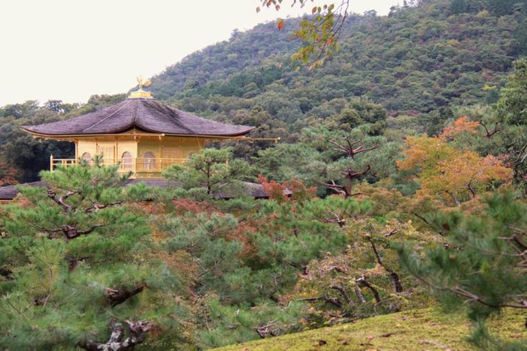 kinkaku-ji-temple-37