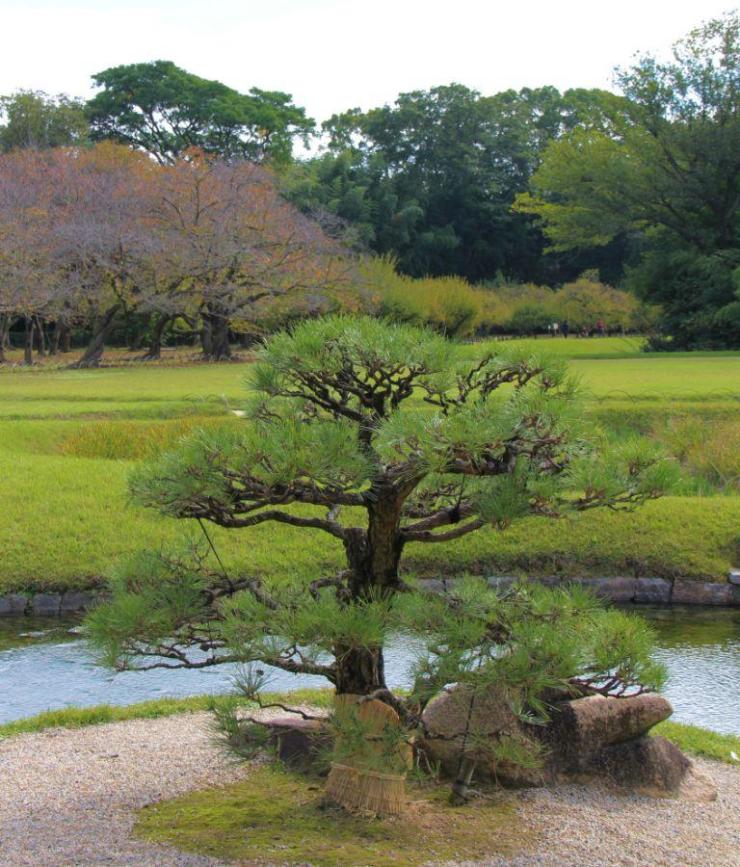 kurakuen-garden-49