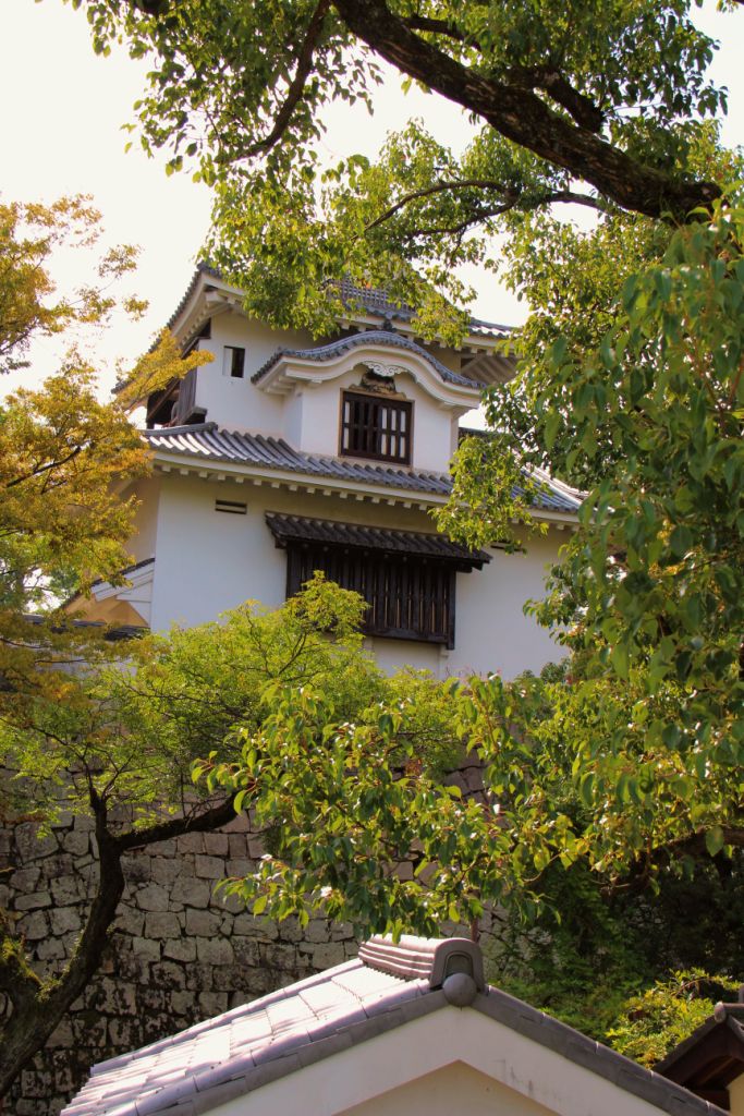 okoyama-castle-14