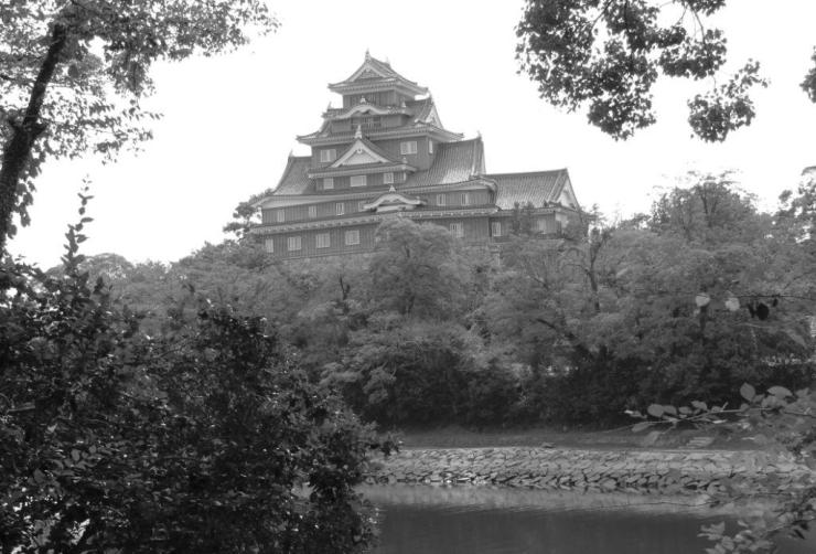 okoyama-castle-2