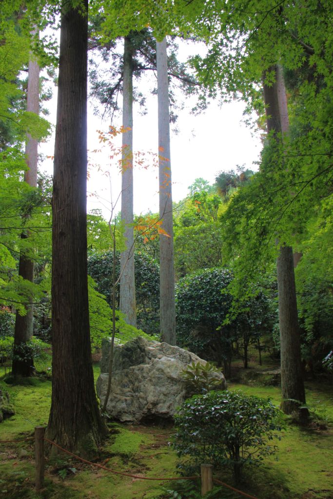 ryoan-ji-temple-20