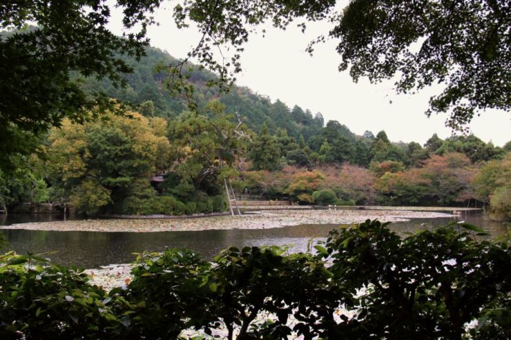 ryoan-ji-temple-24