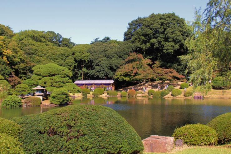shinjuku-gyoen-garden-109