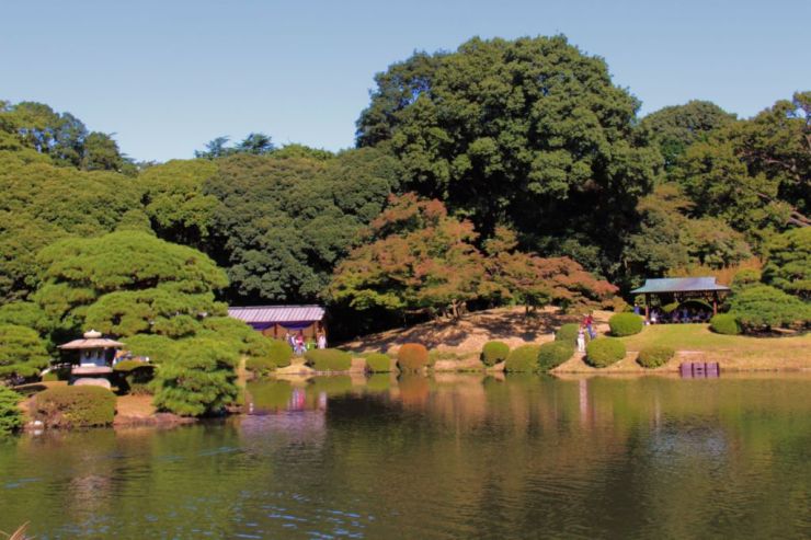 shinjuku-gyoen-garden-111
