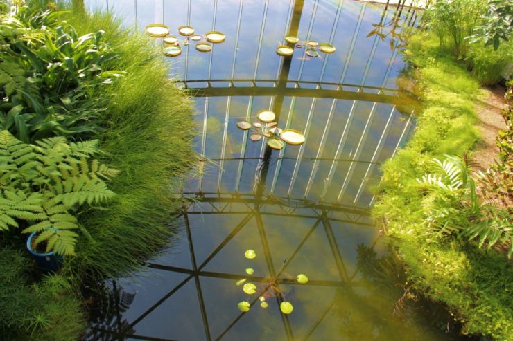 shinjuku-gyoen-garden-32