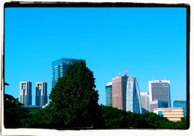 shinjuku-gyoen-garden-43