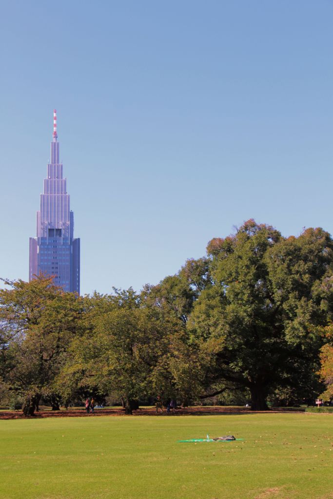 shinjuku-gyoen-garden-46